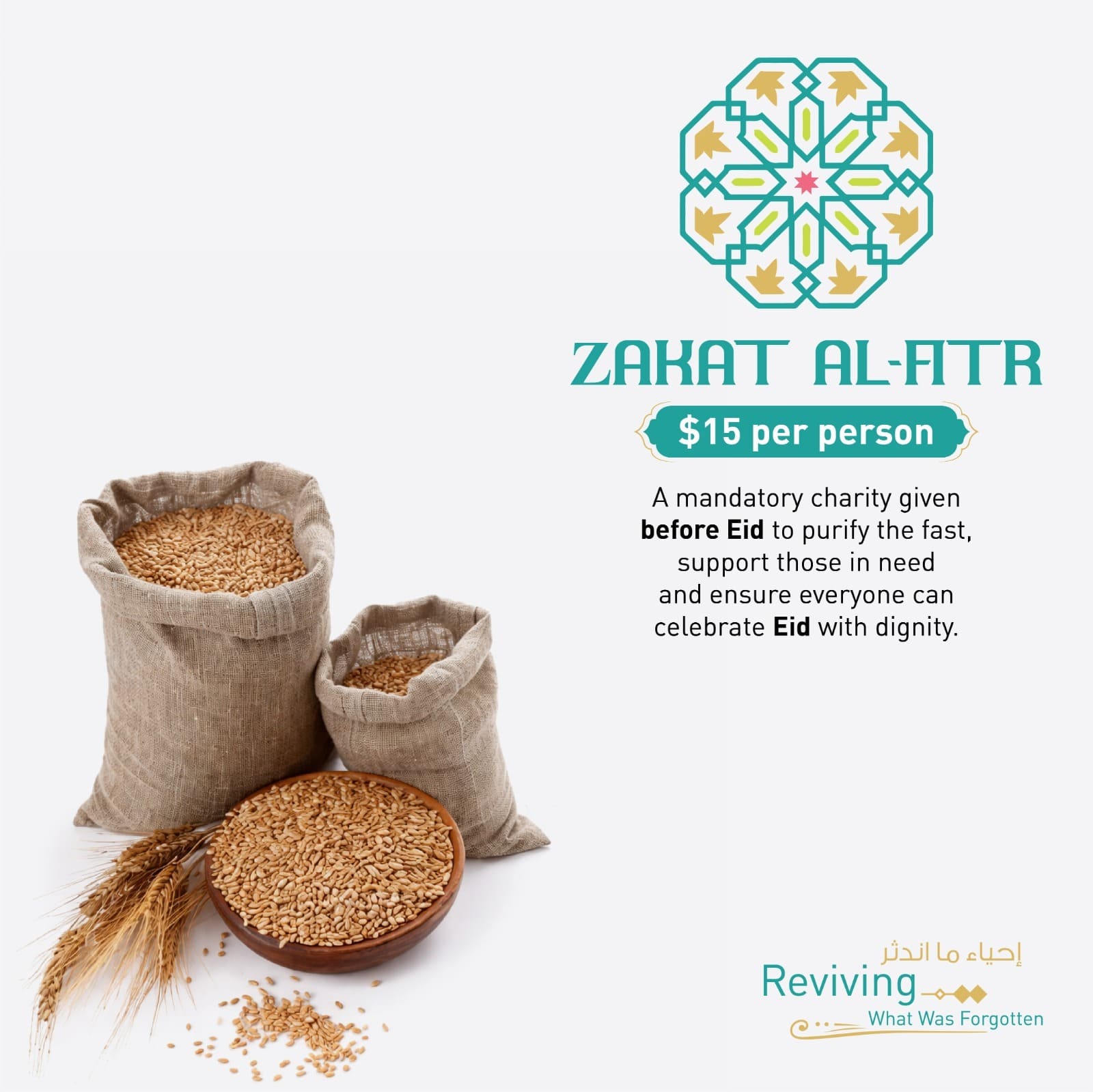 WhatsApp Image 2026-02-17 at 1.41.59 PM (4)