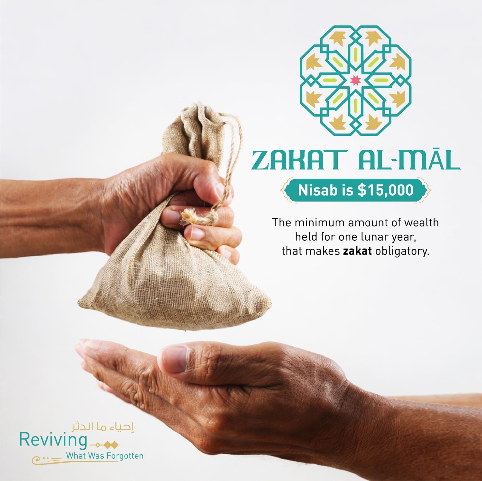 WhatsApp Image 2026-02-17 at 1.42.00 PM